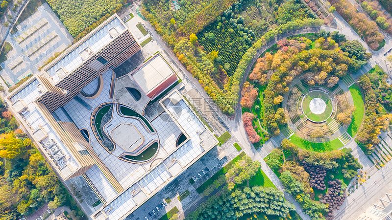 二极管价格解析：揭秘影响价格的关键因素**