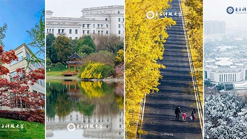 成都电子代工：探寻优缺点，把握行业脉搏